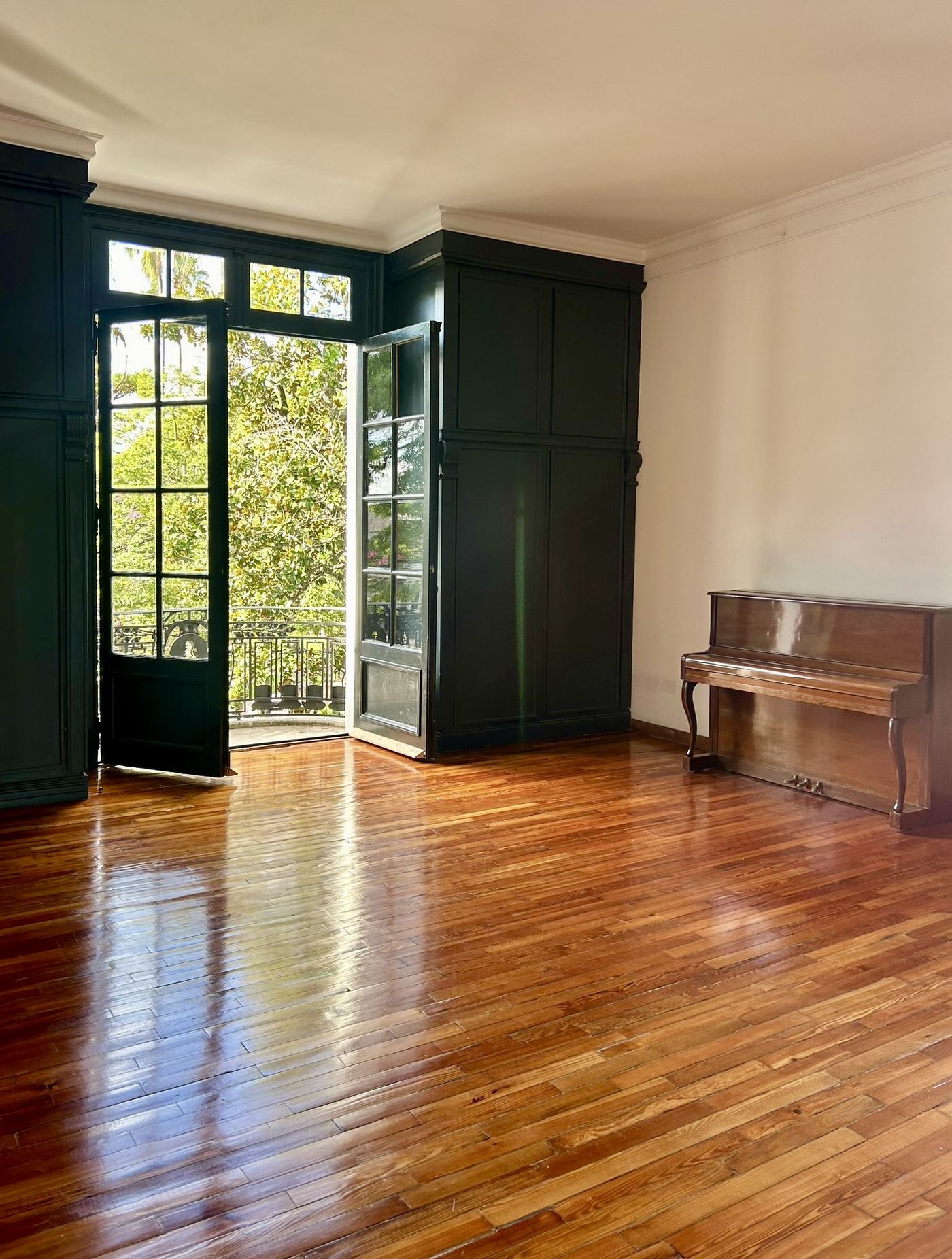 Sala con piano y balcón, boiserie verde